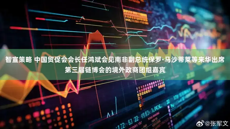 智宣策略 中国贸促会会长任鸿斌会见南非副总统保罗·马沙蒂莱等来华出席第三届链博会的境外政商团组嘉宾